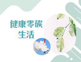 治平高中-健康零碳生活（113專班）
