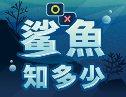 清華高中-鯊魚知多少（113專班）